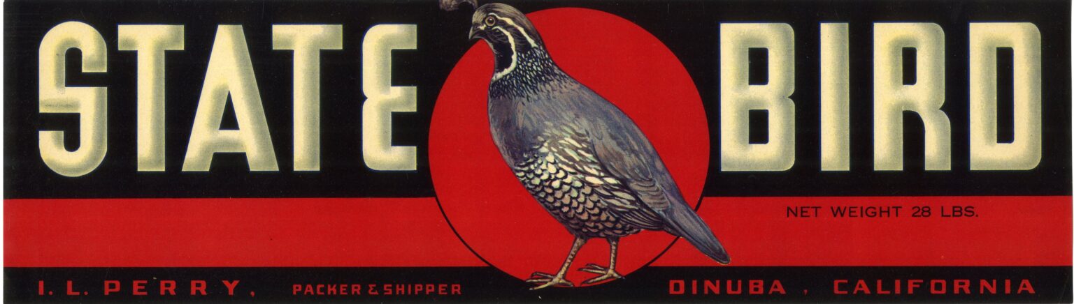 State Bird State Bird